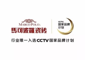 公司介绍
